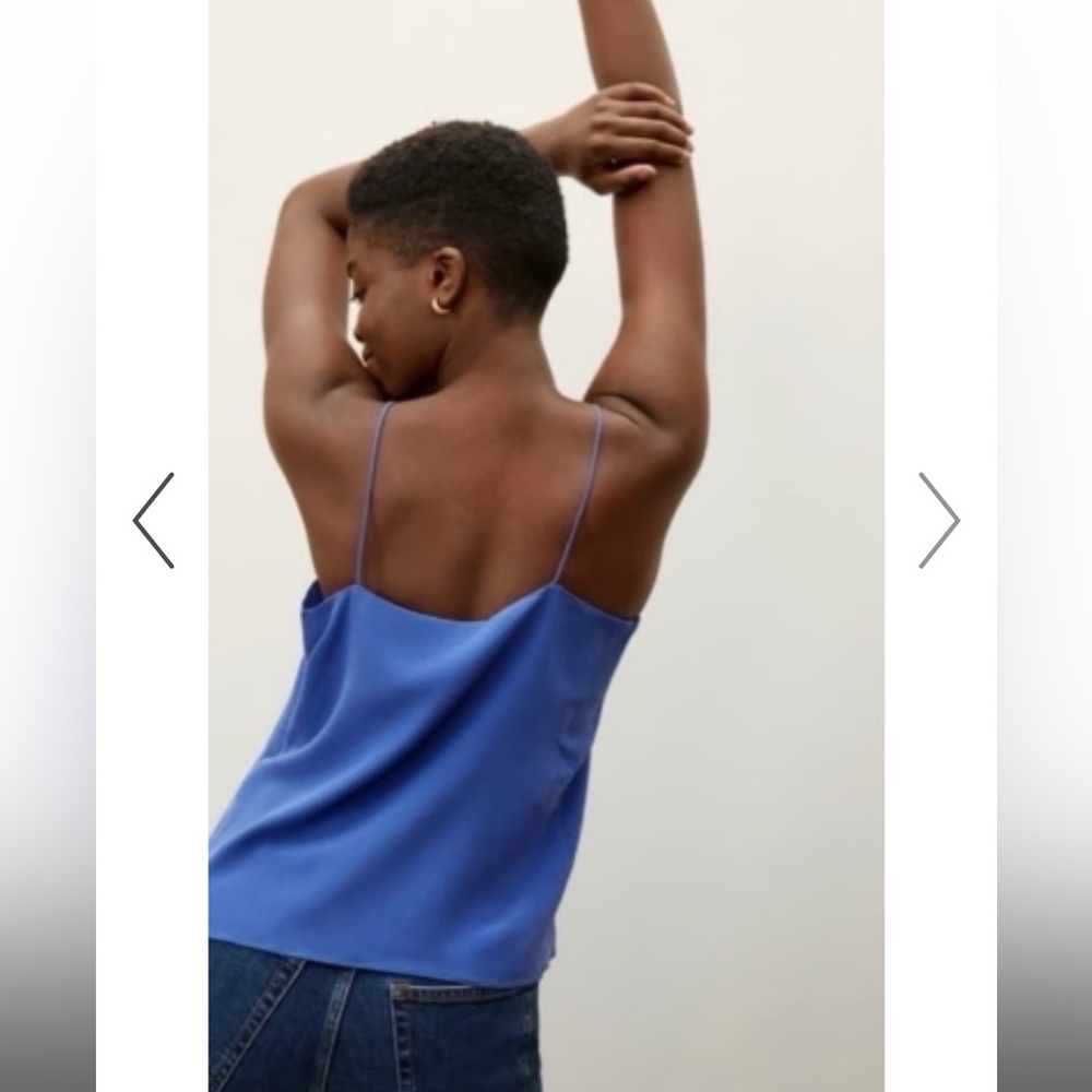 Everlane Lined Washable Silk Cami Size 0